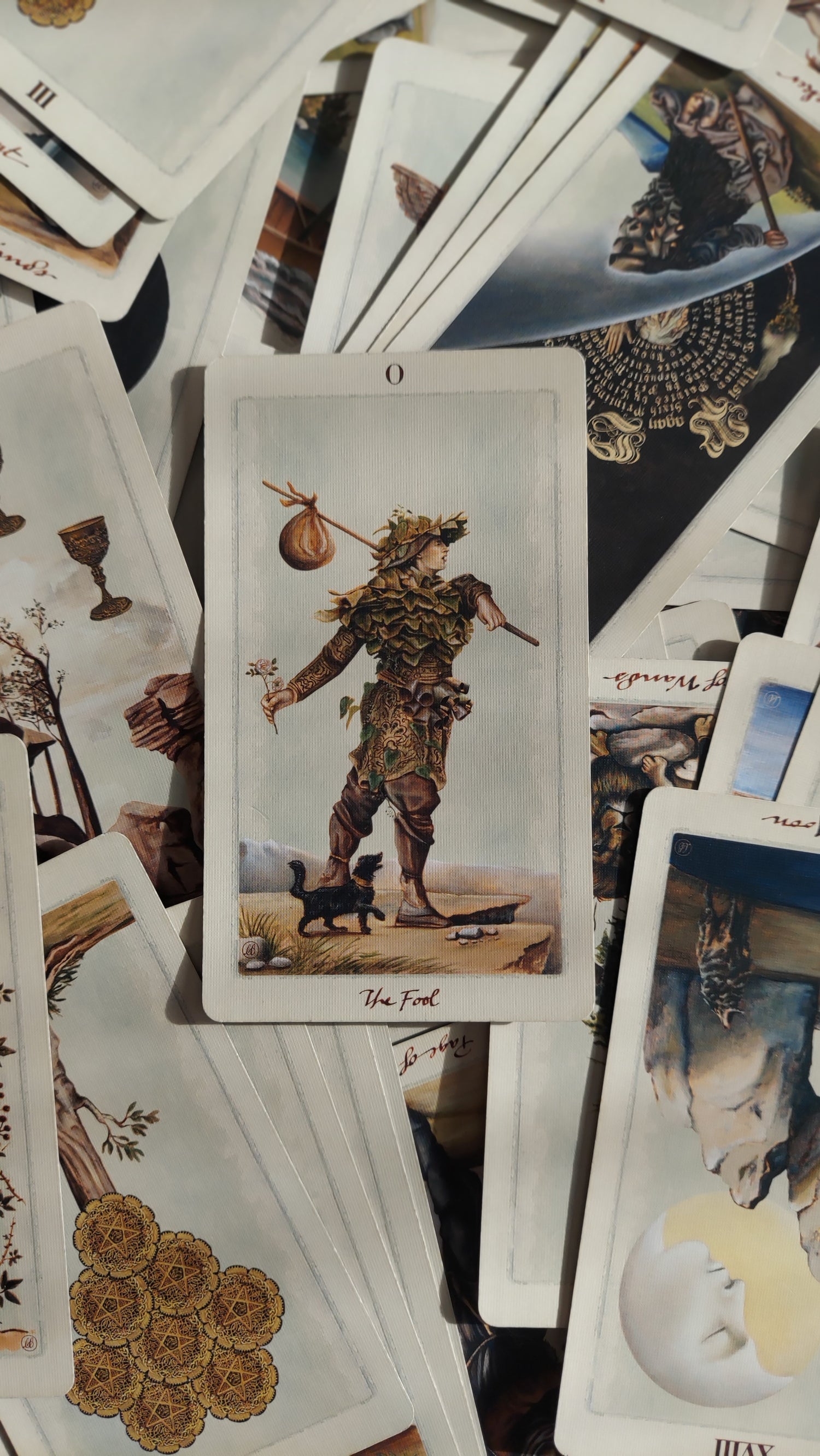 The Fool - a tarot inspired by beginnings