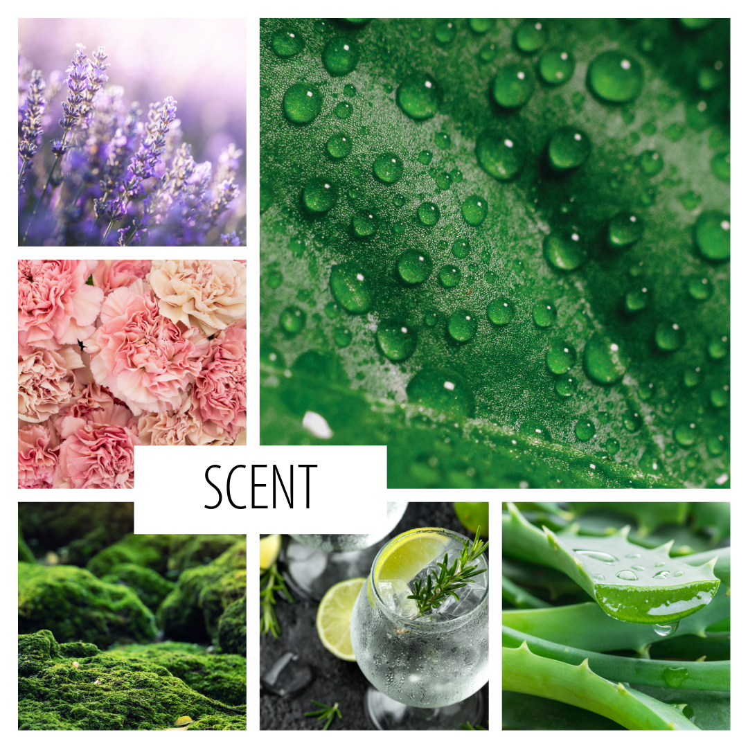 No. 18 — a scent inspired by the emergence of spring