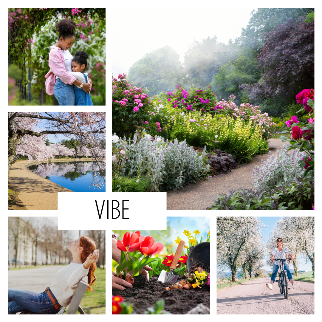 No. 15 — a English garden inspired scent