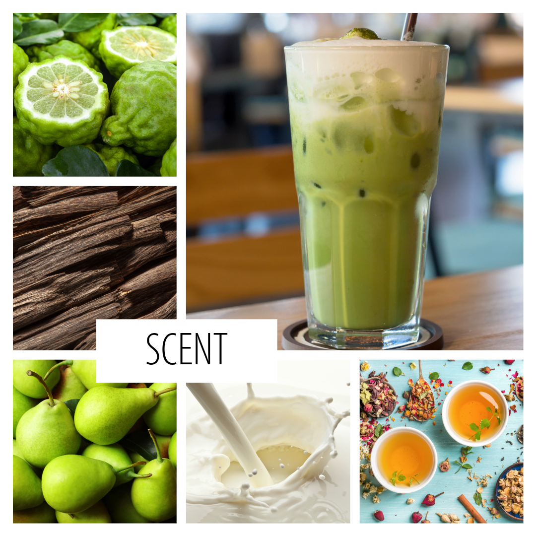No. 45 - Matcha Latte