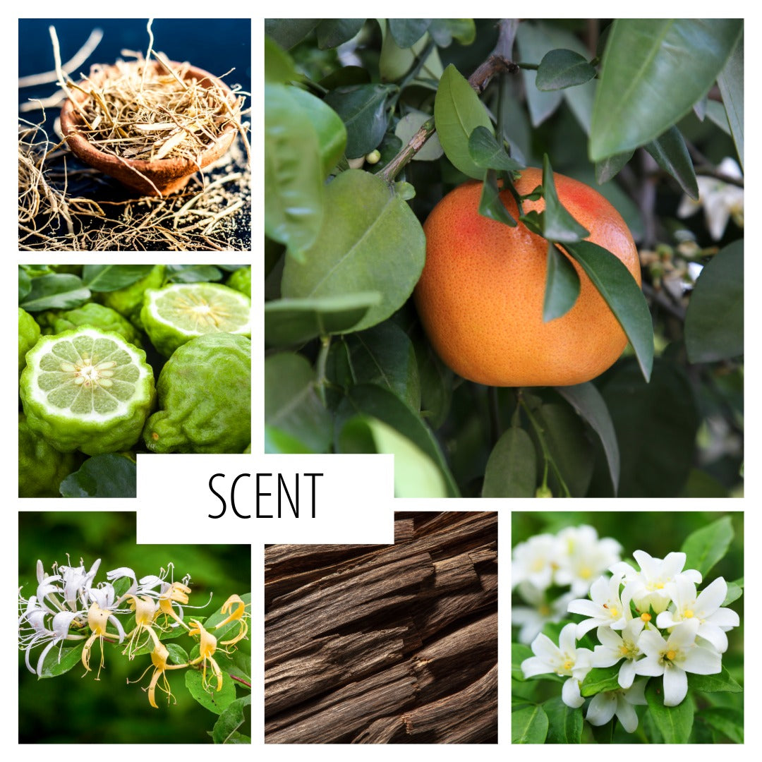 No. 55— a scent inspired by spring&