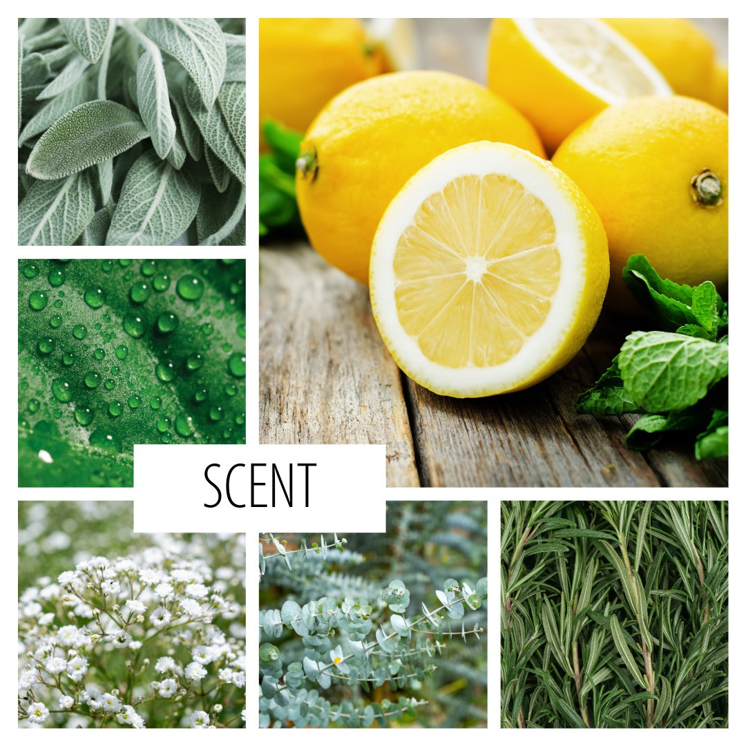 No. 56— a fresh scent inspired by spring cleaning