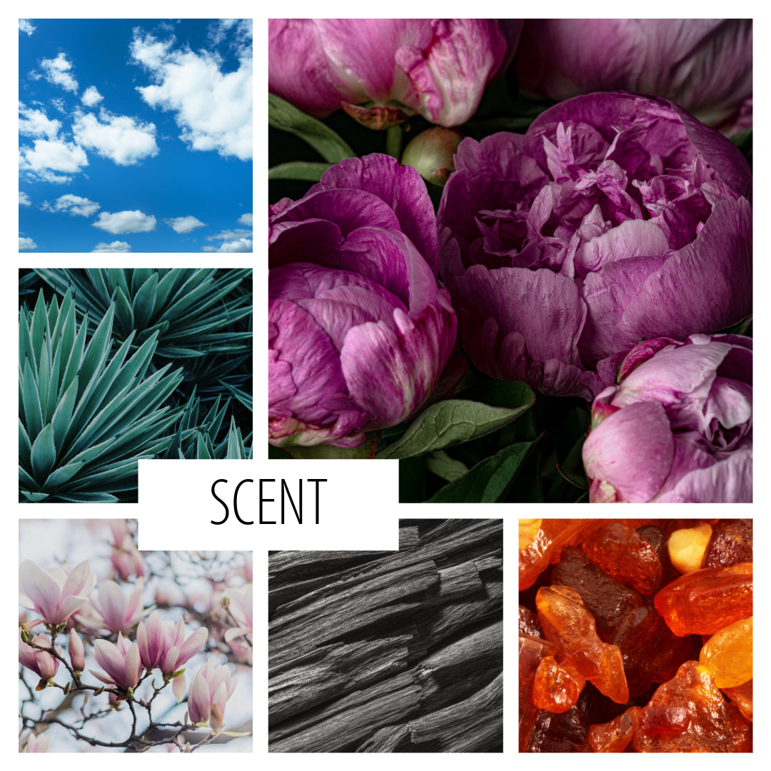 No. 15 — a English garden inspired scent