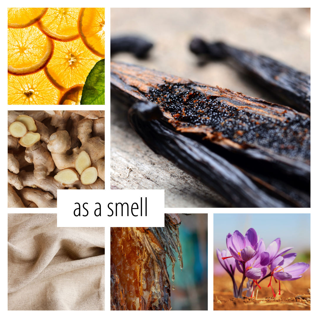 Sloane Sutherland- a scent inspired by Brynne Weaver’s NYT bestselling novel Butcher & Blackbird