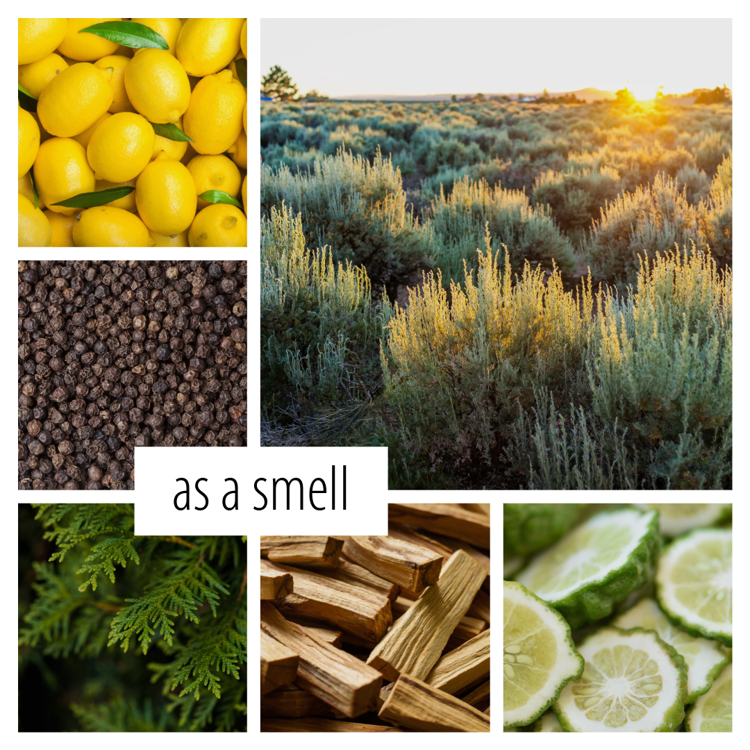 Rowan Kane- a scent inspired by Brynne Weaver’s NYT bestselling novel Butcher & Blackbird