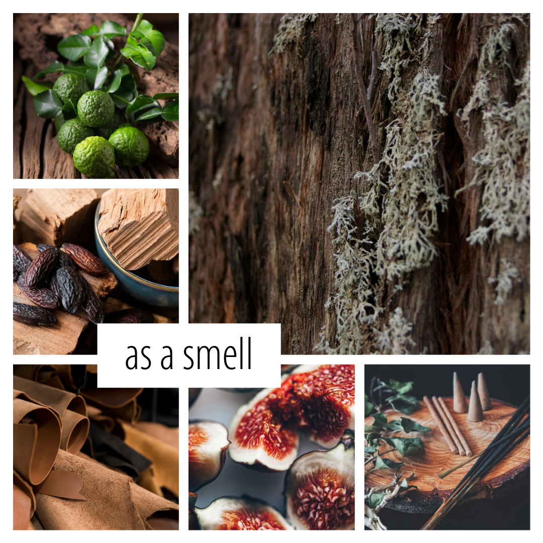 Dark Academia- a bookish scent