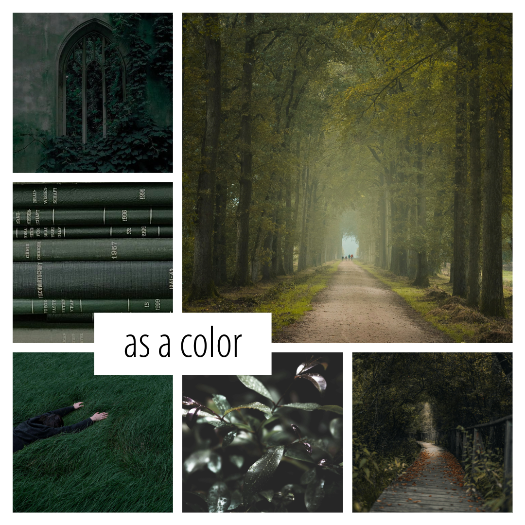 Dark Academia- a bookish scent