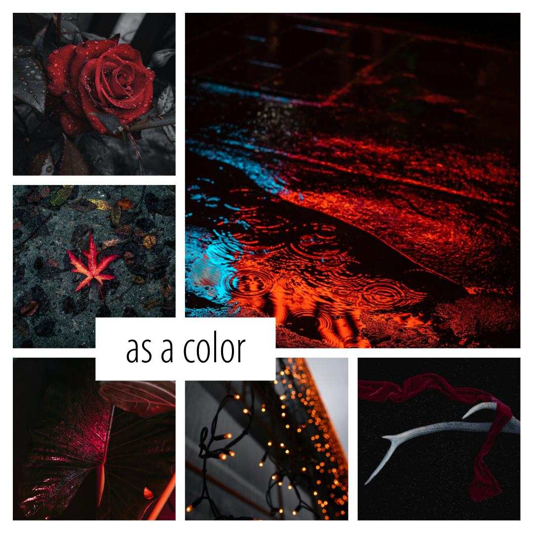 Enemies to Lovers- a bookish scent