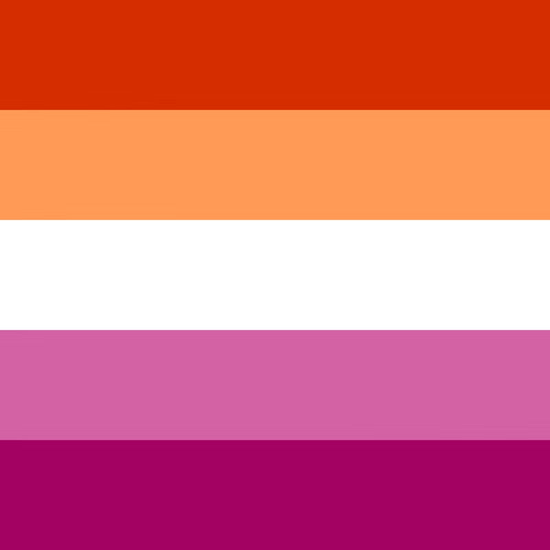 Lesbian Flag Book Stack Earrings