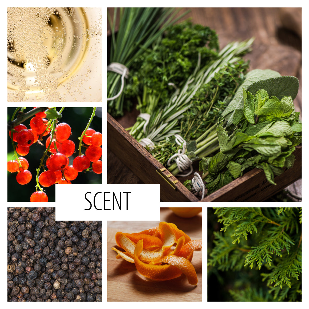 No. 48 - The Aperol Spritz–a cocktail inspired scent