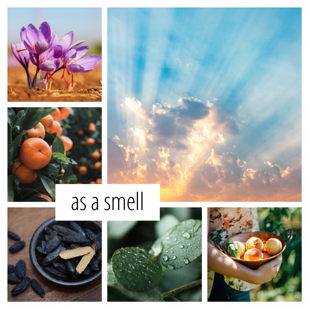 No. 31 — a bright scent inspired by happiness