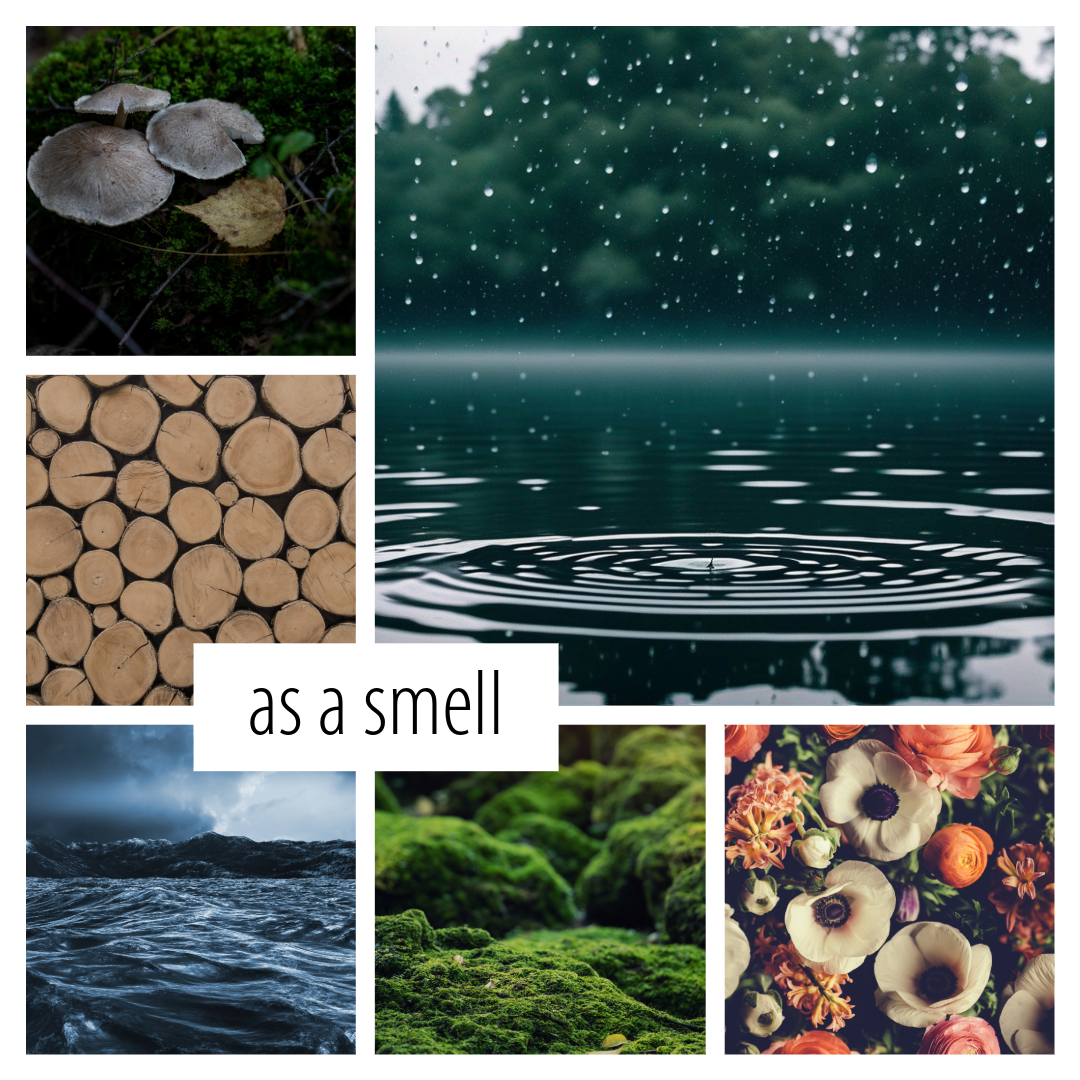 No. 36 — a bright scent inspired by April Showers