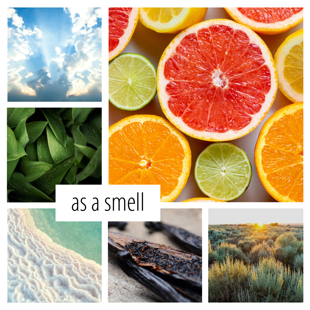 No. 38 — a summertime scent inspired by sunshine and patios