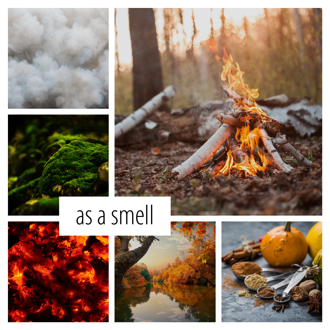 No. 24 – Cinder Candle: a fall scent of oak, embers, and eucalyptus