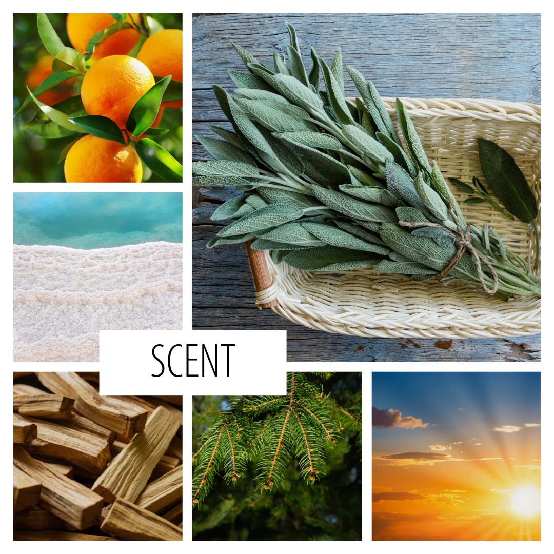 Fionn Kane — a scent inspired by Brynne Weaver’s NYT bestselling novel Scythe & Sparrow