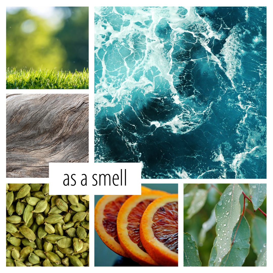 No. 54 - a light and fresh marine inspired scent