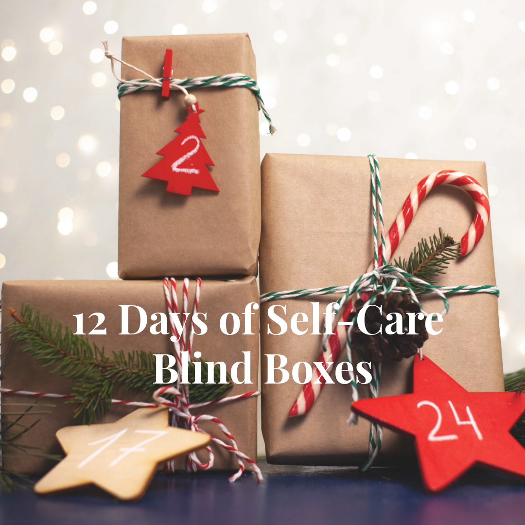 12 Days of Bookish Christmas!