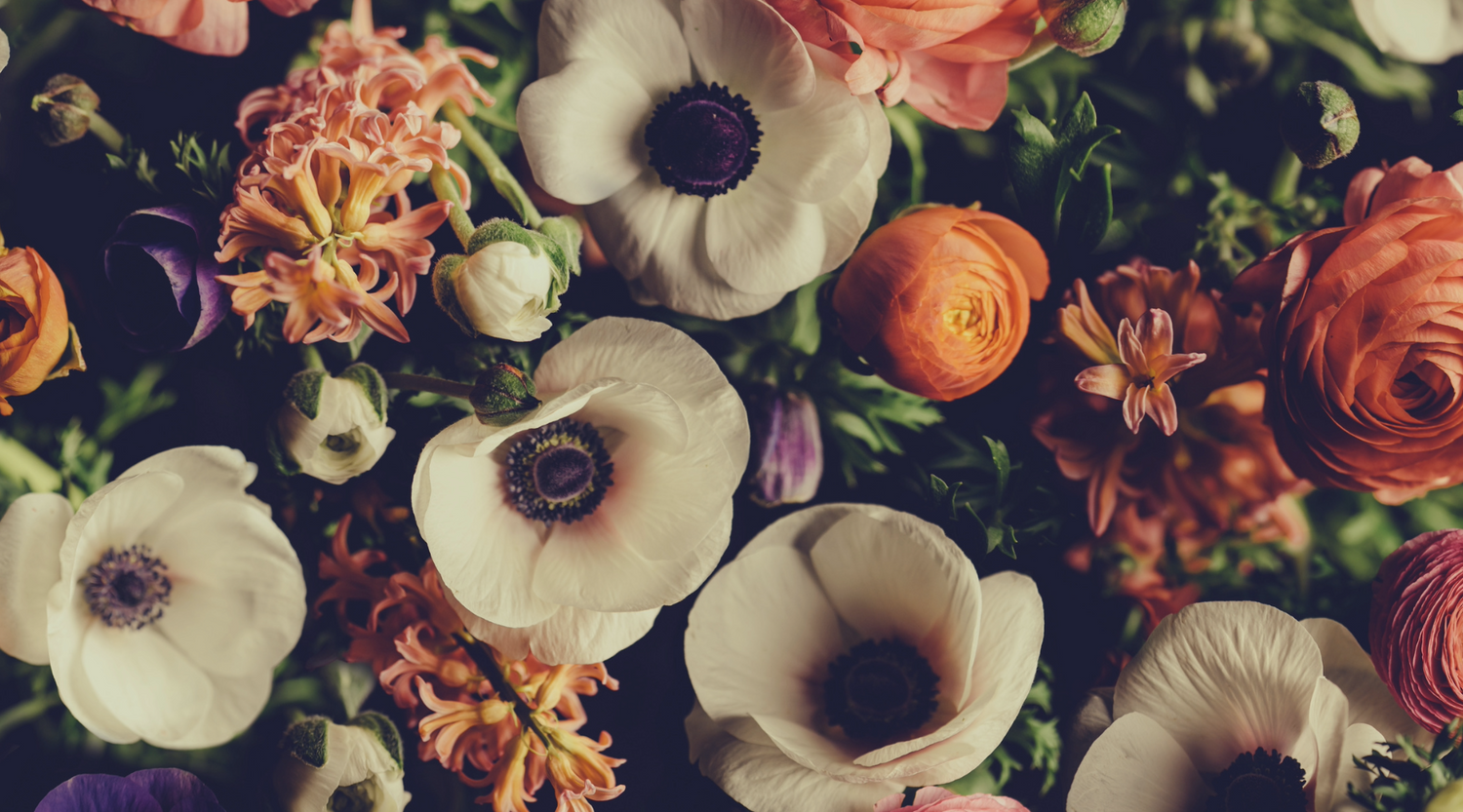 2024 Spring Collection