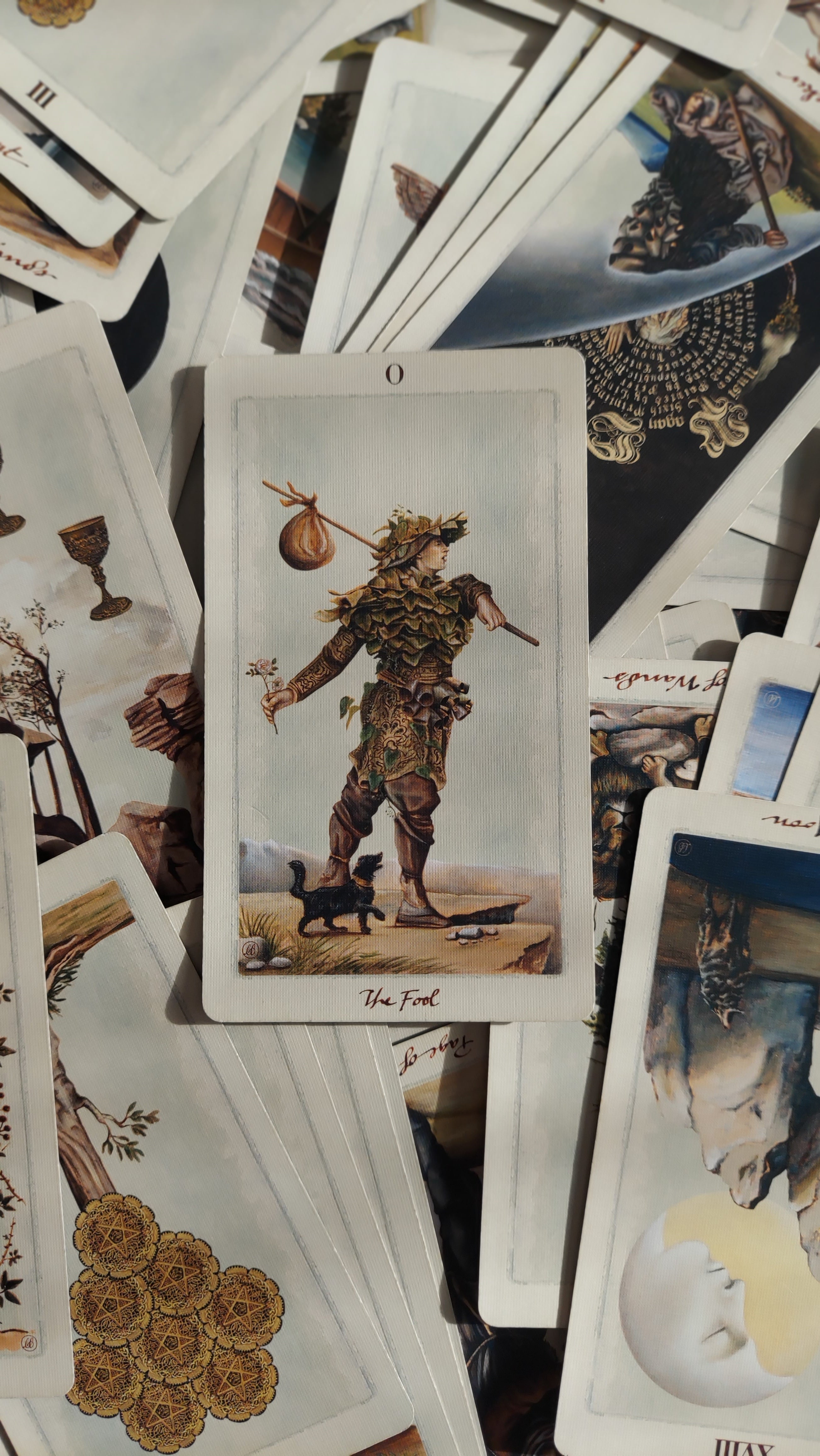 The Fool - a tarot inspired by beginnings