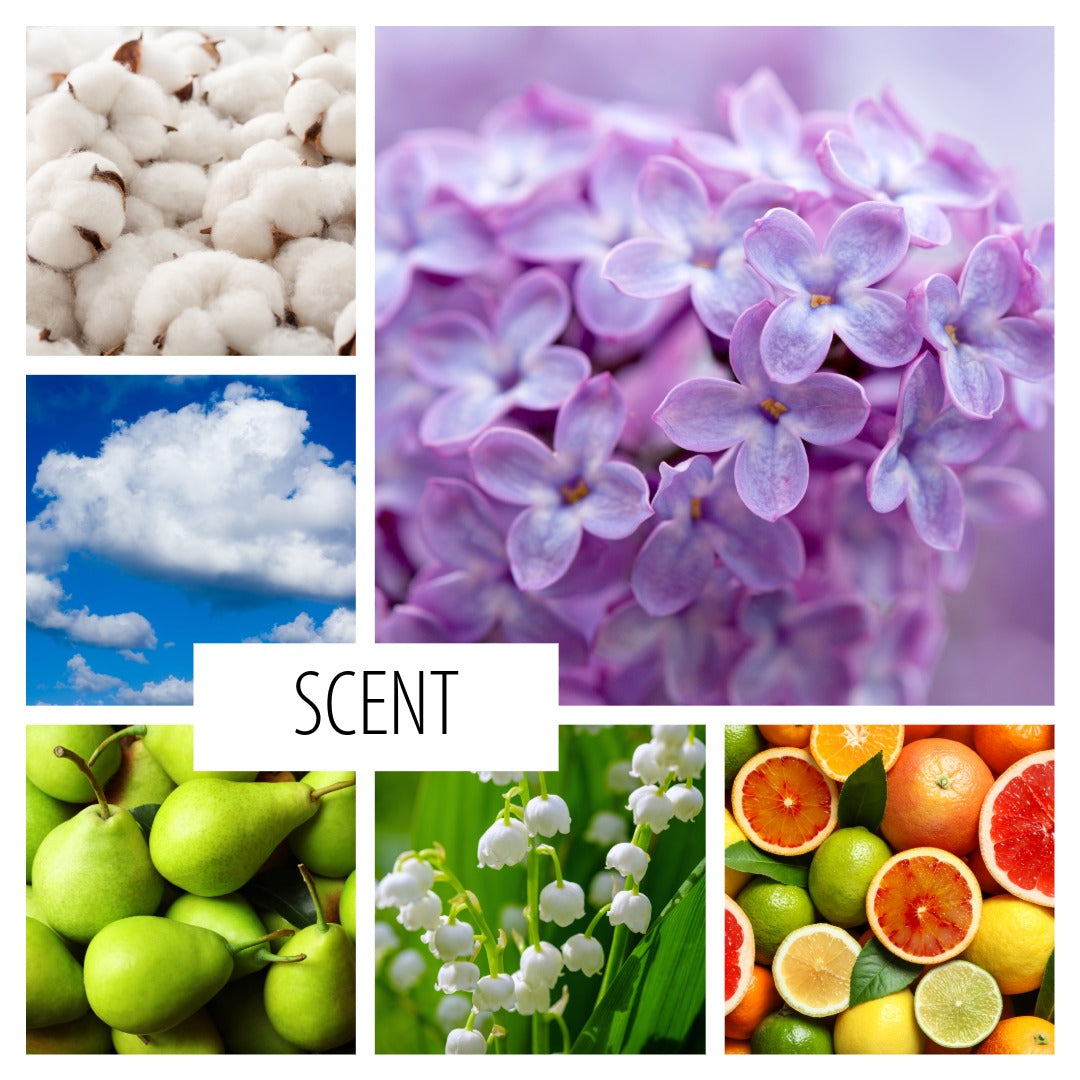 No. 57 -transitional scent between spring and summer