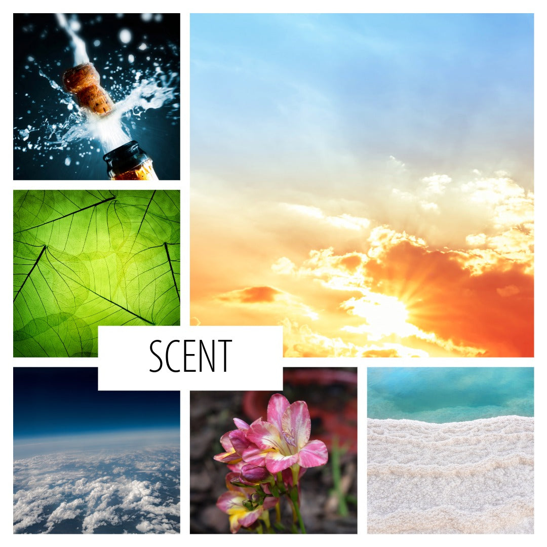 No. 37— a bright scent inspired by day dates