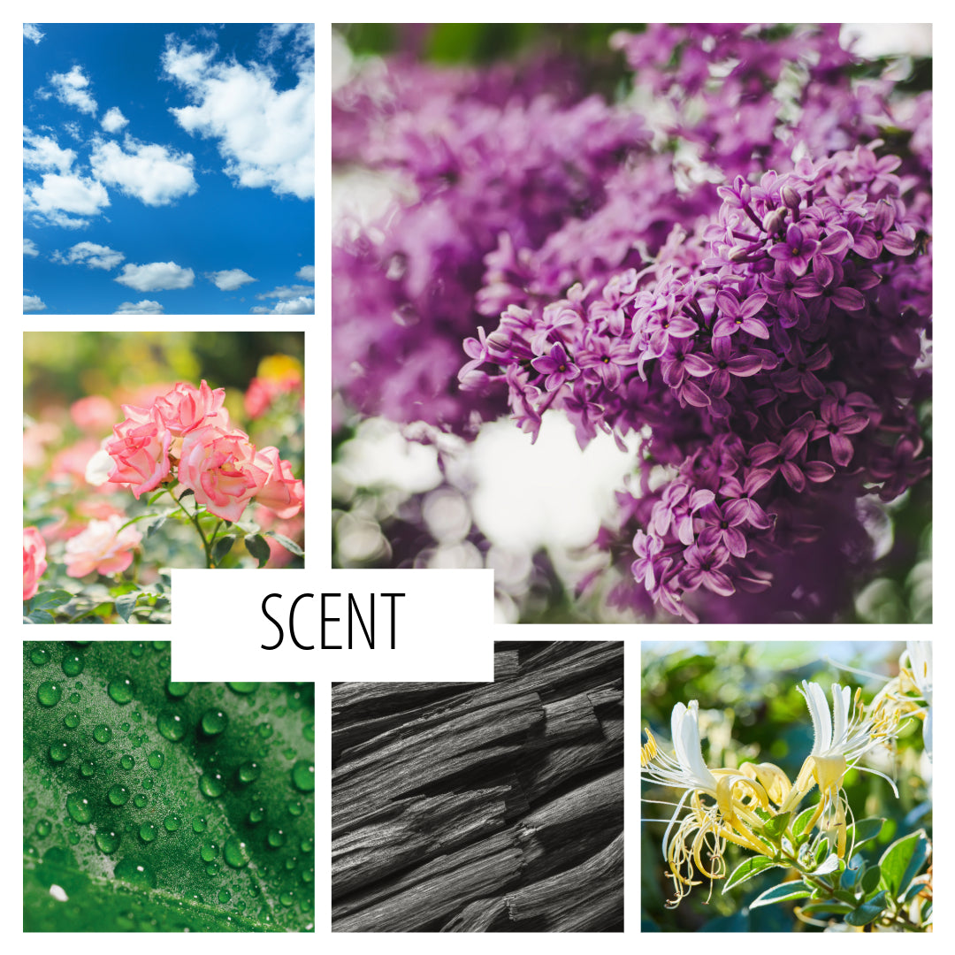 No. 16 — a scent inspired by springs arrival