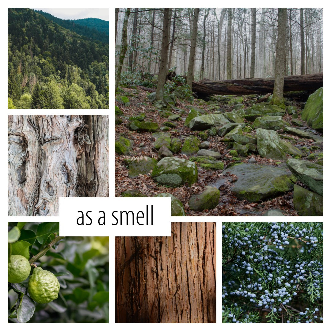 No. 83 – Alpine Hollow Room &amp; Linen Spray: mountain air, moss, and bergamot