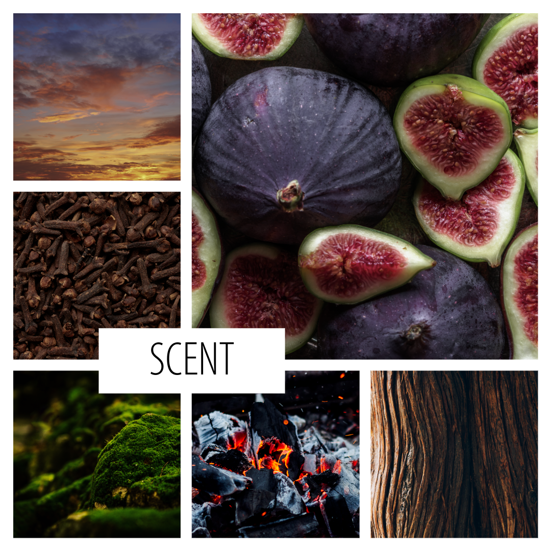 No. 77 – Sacred Grove Pefume with ozone, fig, moss, and redwood