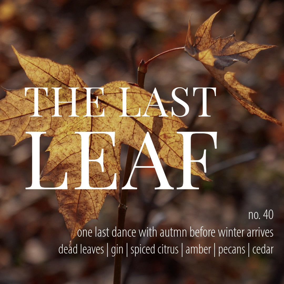 No. 40 – The Last Leaf Room &amp; Linen Spray: an autumn scent of fallen leaves, gin, and amber