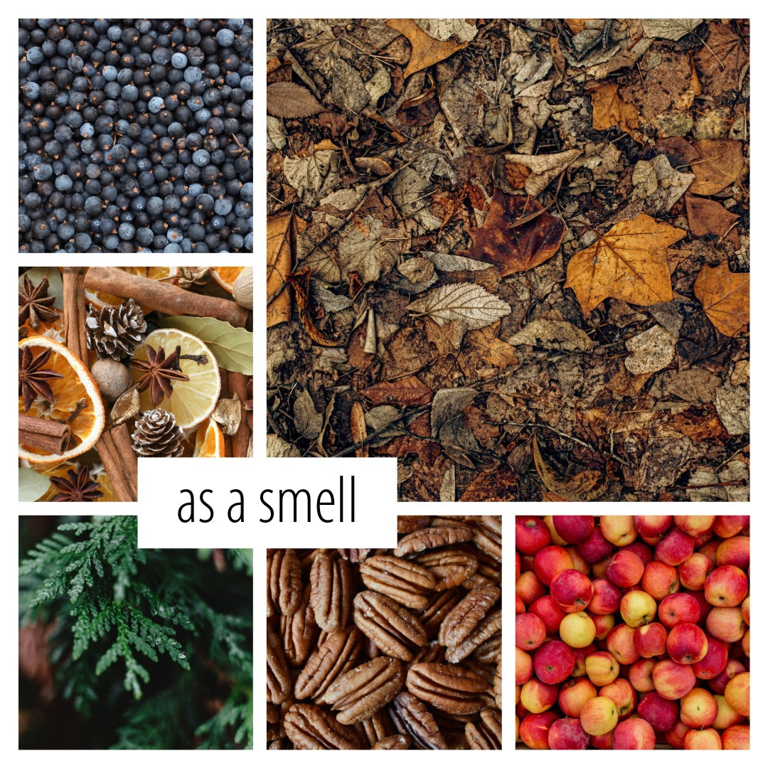 No. 40 – The Last Leaf Room &amp; Linen Spray: an autumn scent of fallen leaves, gin, and amber