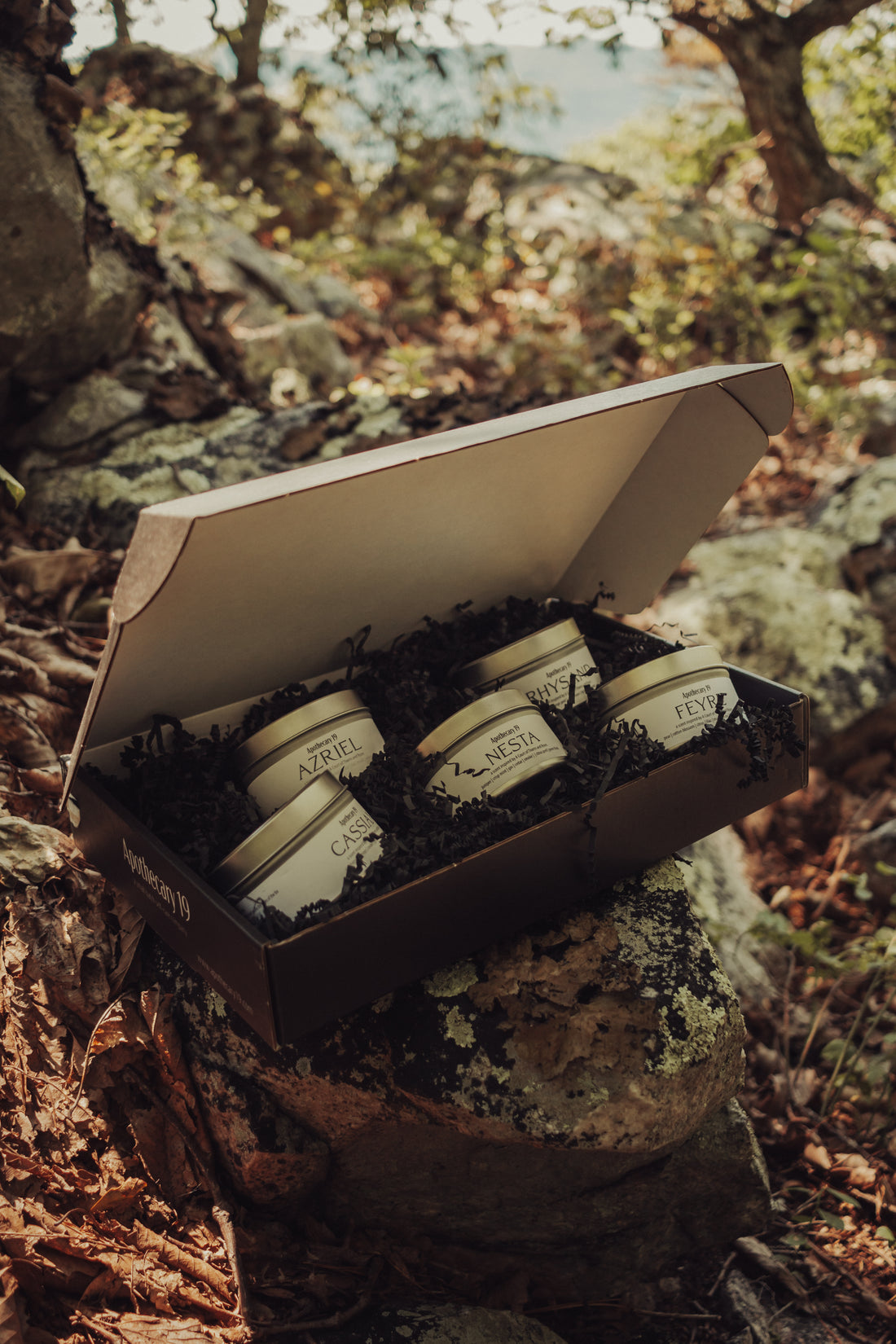 A Court of Thorns and Roses Collection Sets