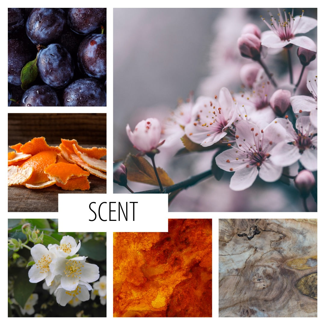 A collage of scent-related visual elements: dark purple plums, pink blossoms, orange peel, white flowers, a warm orange texture, and a wood grain pattern, with the word SCENT centered on a white label.