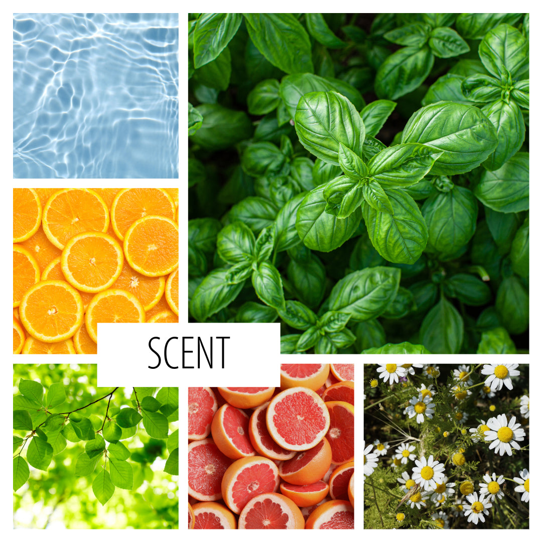 No. 49 - A scent inspired by Spa Water