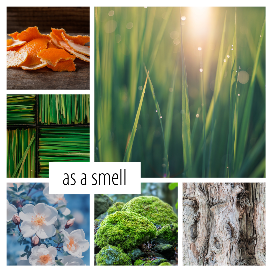 No. 32 - a scent inspired by spring air