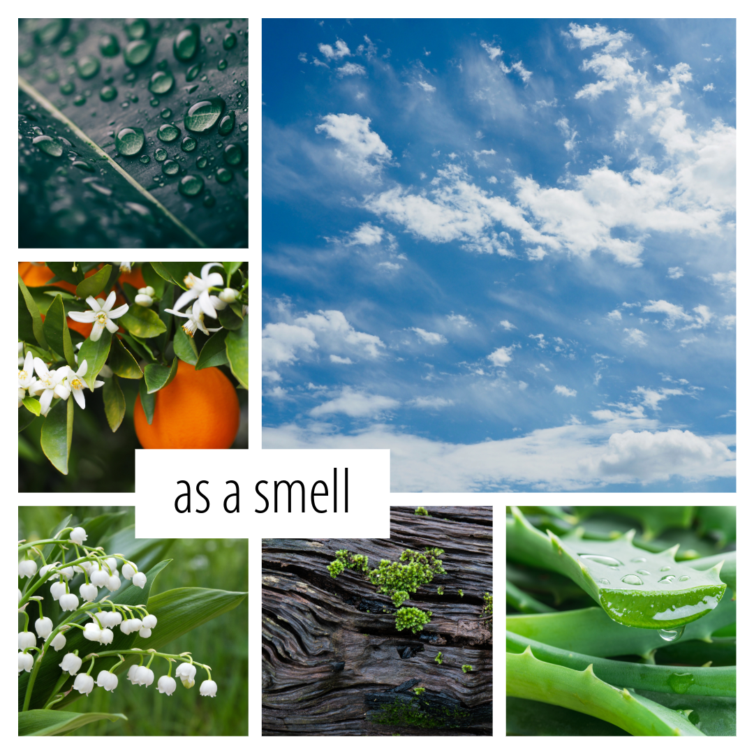 No. 35 — a bright scent inspired by open windows