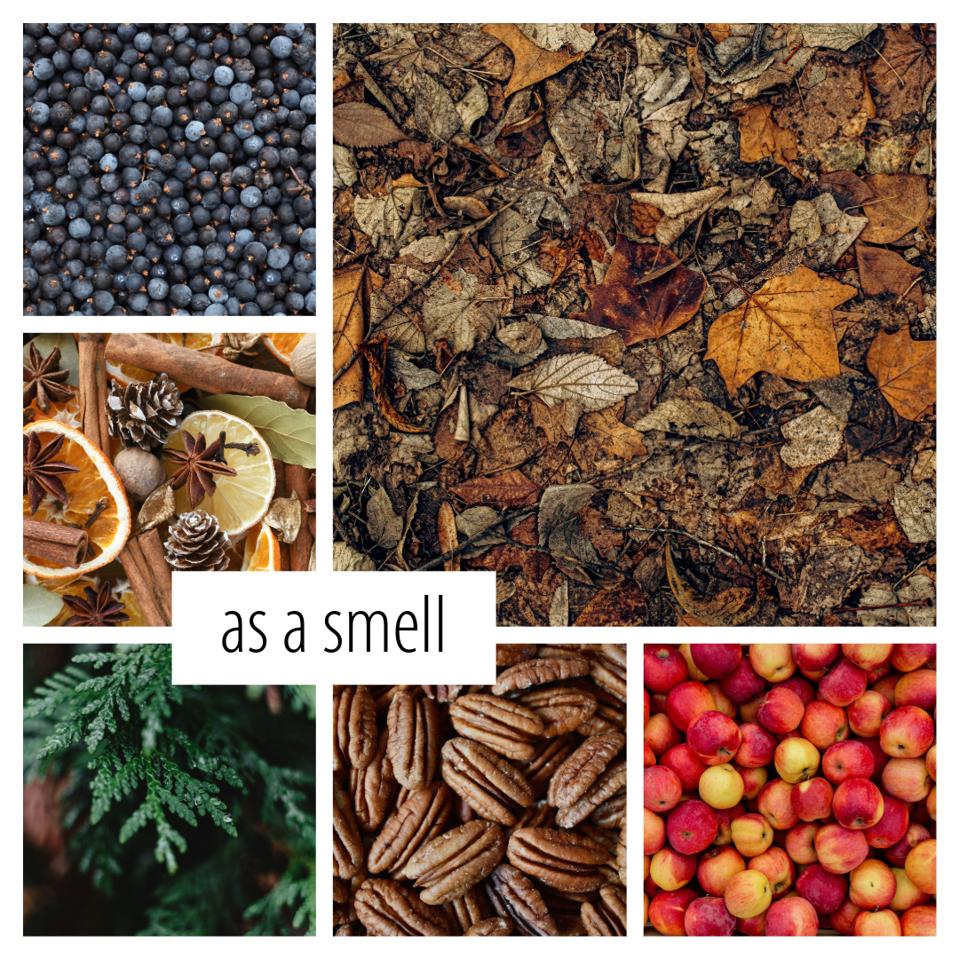 No. 40 - a scent inspired by essential fall spices