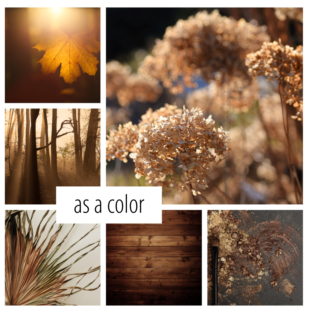 No. 40 - a scent inspired by essential fall spices