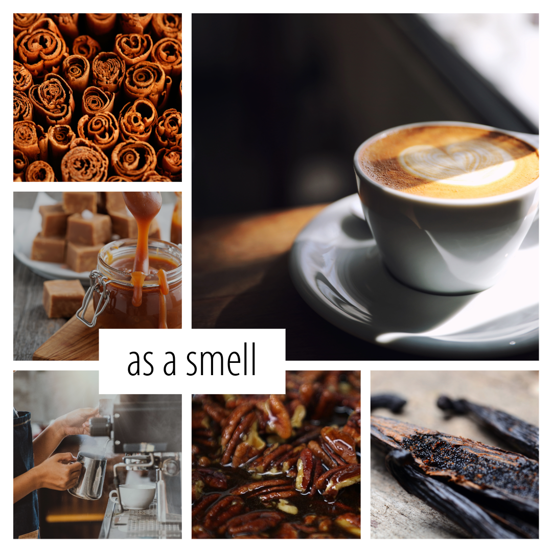 No. 19 - a fall scent inspired by trips to the coffee shop