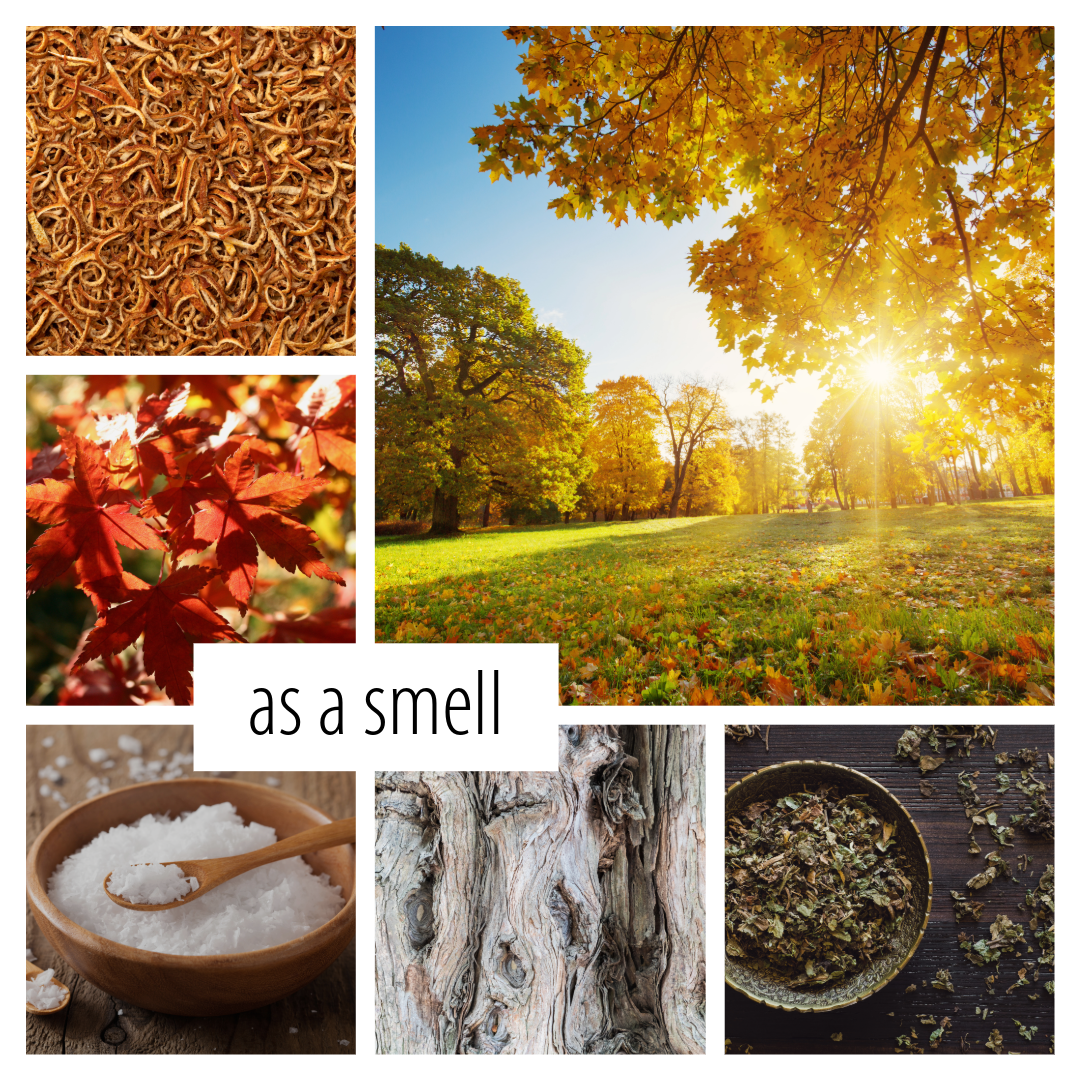 No. 21 - an early autumn inspired scent