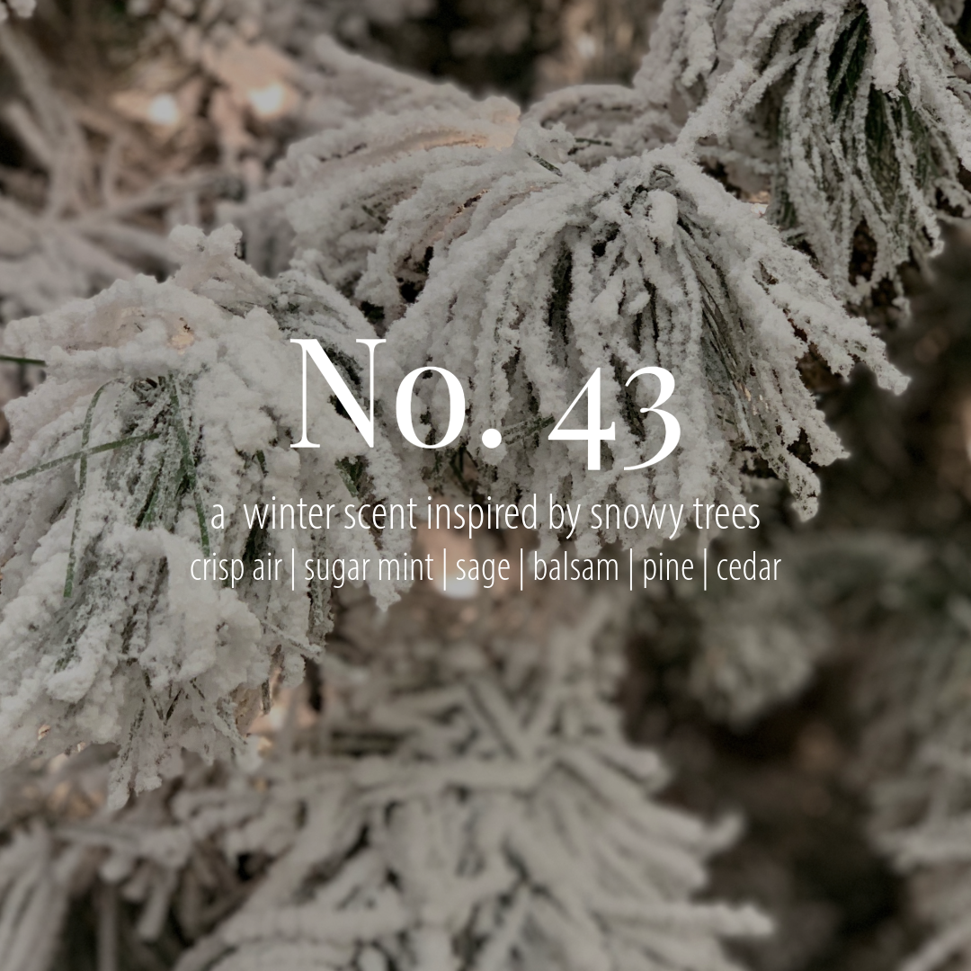 The Winter Collection Set