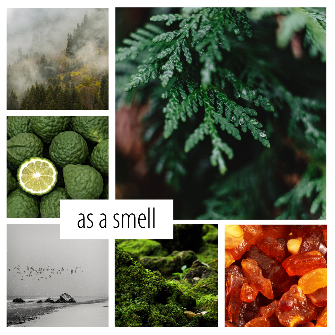 No. 51 - a rich cedar forward scent