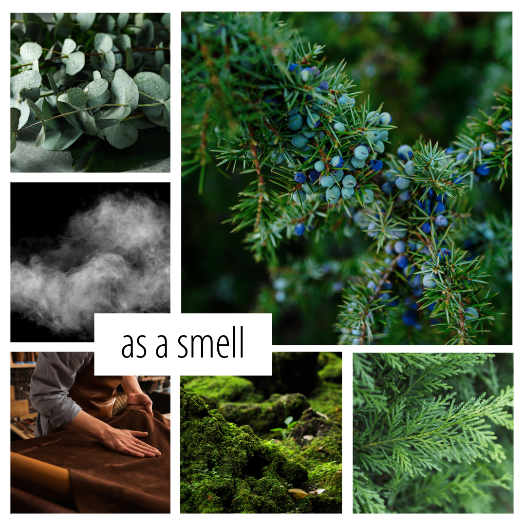 No. 52 - a gin (uh, juniper) forward scent