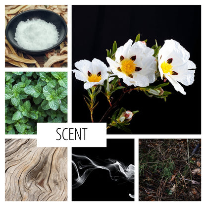 No. 97 – THE PIT &amp; THE PENDULUM CANDLE:  an ethereal candle of ozone, dry wood, and earth