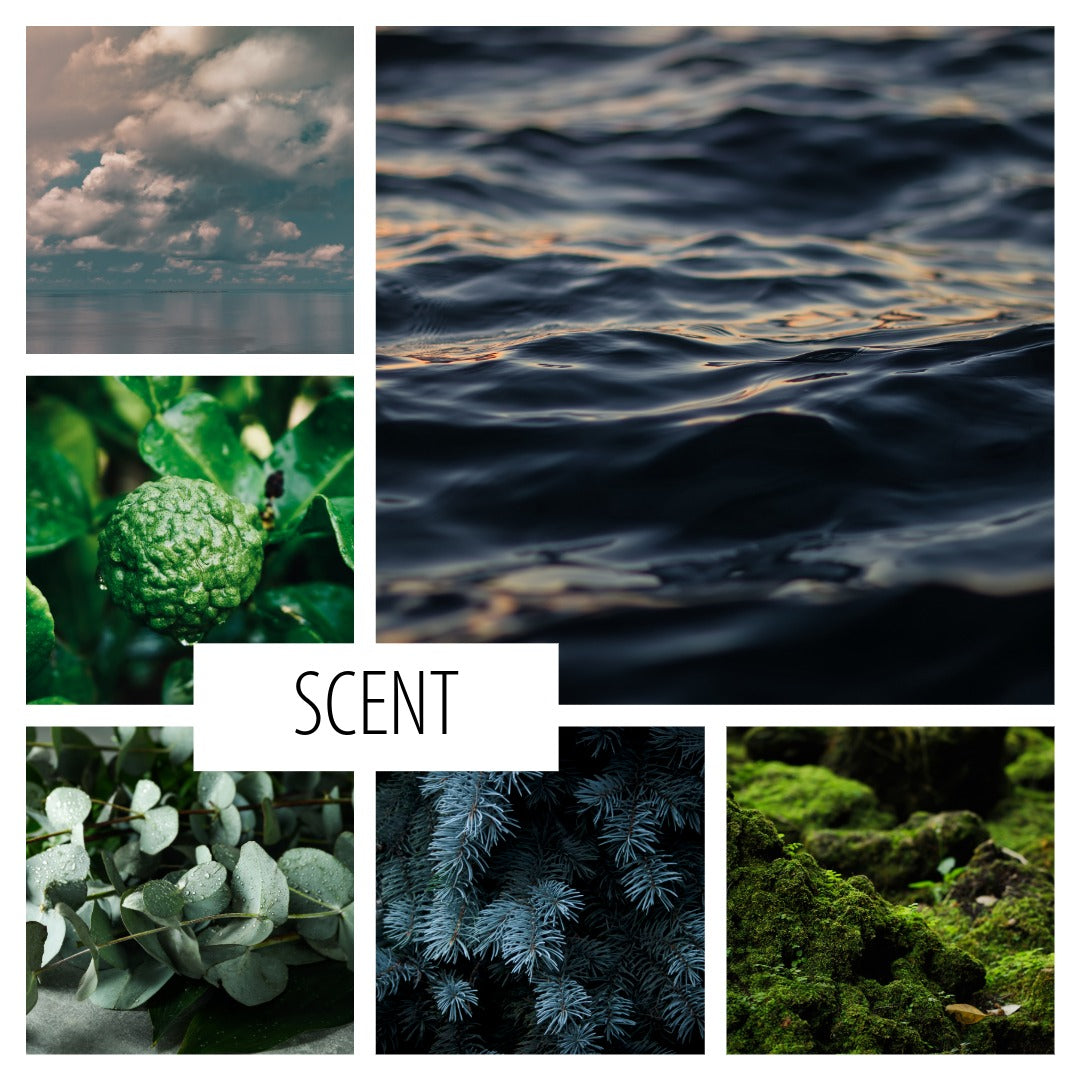 No. 101 – THE CITY IN THE SEA ROOM SPRAY: a fresh scent of coastal air and stone