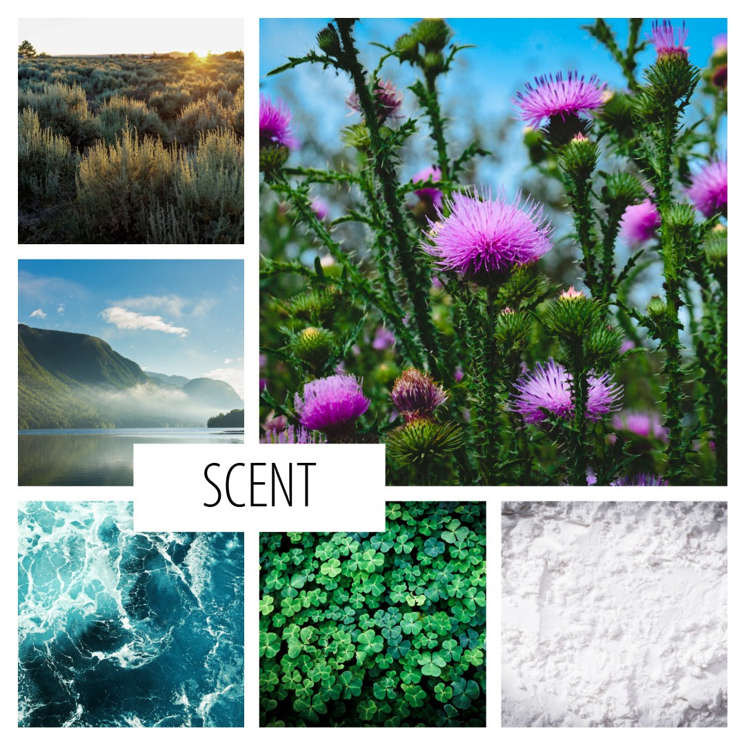 No. 102 – ANNABEL LEE ROOM SPRAY: a scent of love and the sea