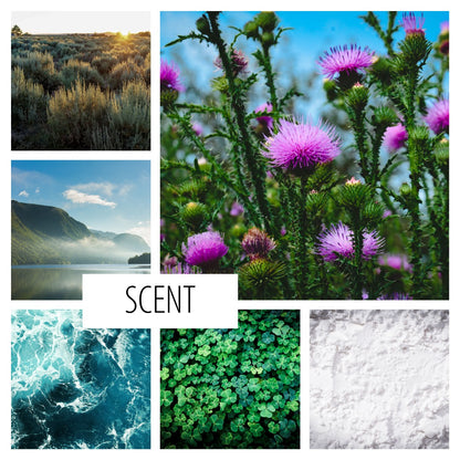 No. 102 – ANNABEL LEE ROOM SPRAY: a scent of love and the sea