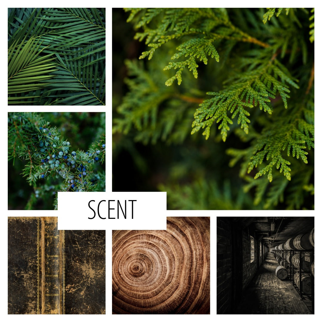 No. 100 - THE TELL-TALE HEART PERFUME: a bergamot &amp; dry wood scent
