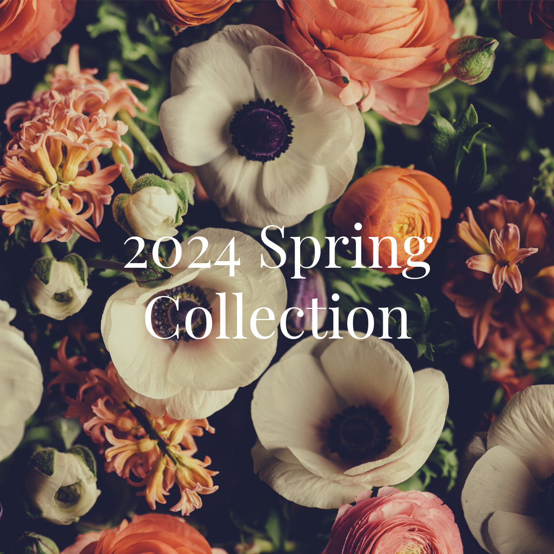 2024 Spring Collection Set