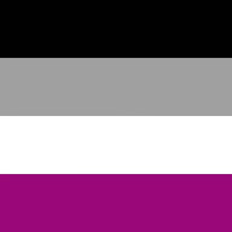 Ace & Demisexual Pride Flag Book Stack Earrings