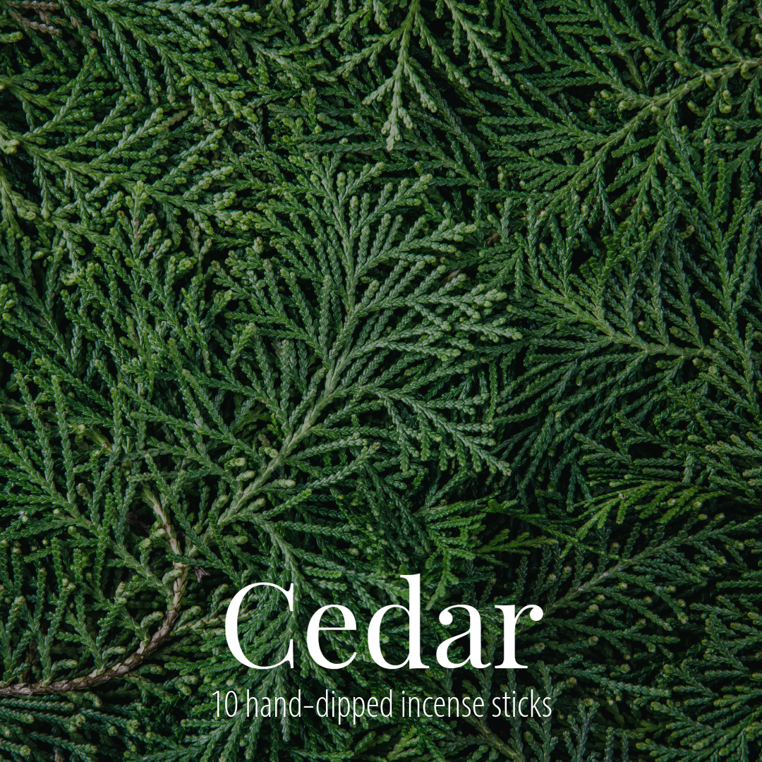Close-up of a dense cedar hedge filling the frame, with the Cedar label and 10 hand-dipped incense sticks overlaid in white